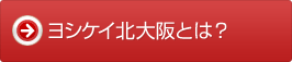 ���V�P�C�k��ゲ���p�ē�