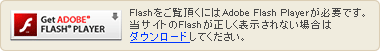 Flash player